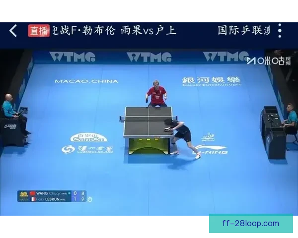 2026世界杯温哥华赛区将在史丹利公园举办盛大球迷节庆祝活动